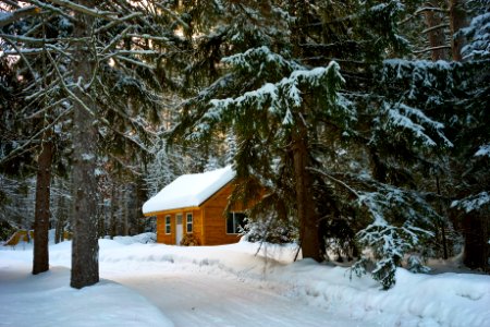 Brown House Near Pine Trees Covered With Snow photo