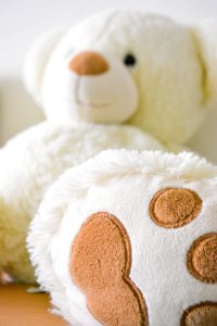 White And Brown Bear Plush Toy Selective Photo photo