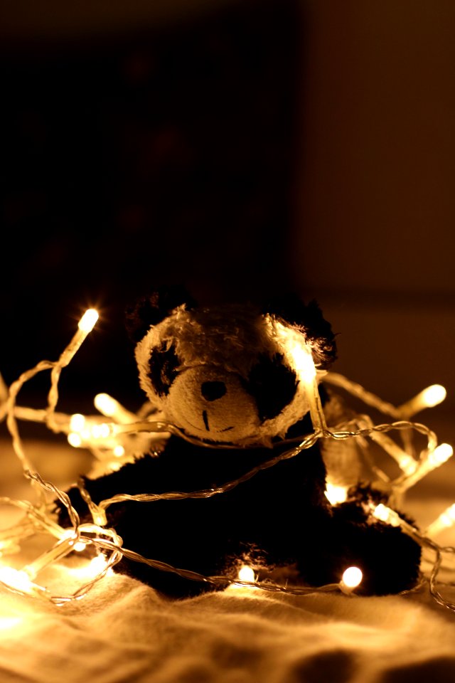 Panda Plush Toy Surrounded By Beige Light Strings