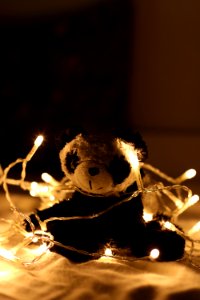 Panda Plush Toy Surrounded By Beige Light Strings photo