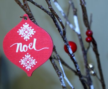Red And White Noel Print Decor