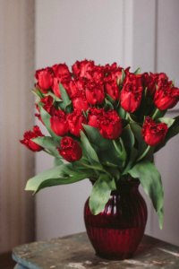 Bouquet Of Red Roses On Glass Vase photo
