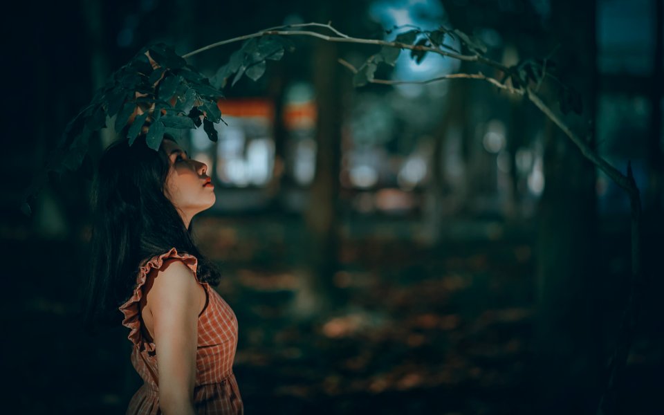 Woman Under Green Leaf Tree