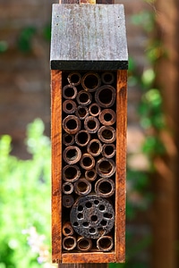 Mason and leaf-cutter bee house wild wood photo