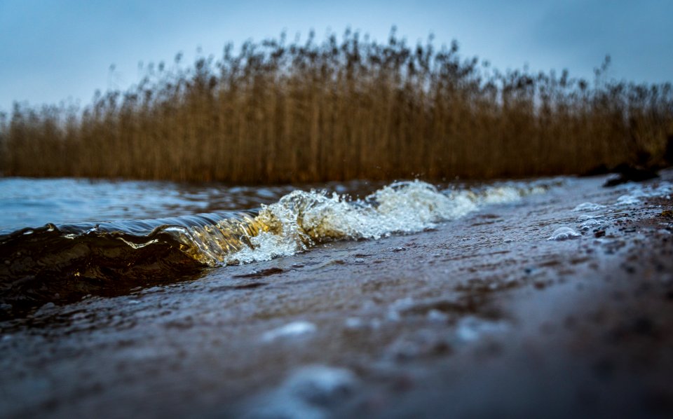 Selective Focus Photography Of Sand Near Body Of Water