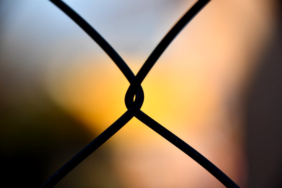 Shallow Focus Photography Of Silhouette Of Cyclone Wire photo