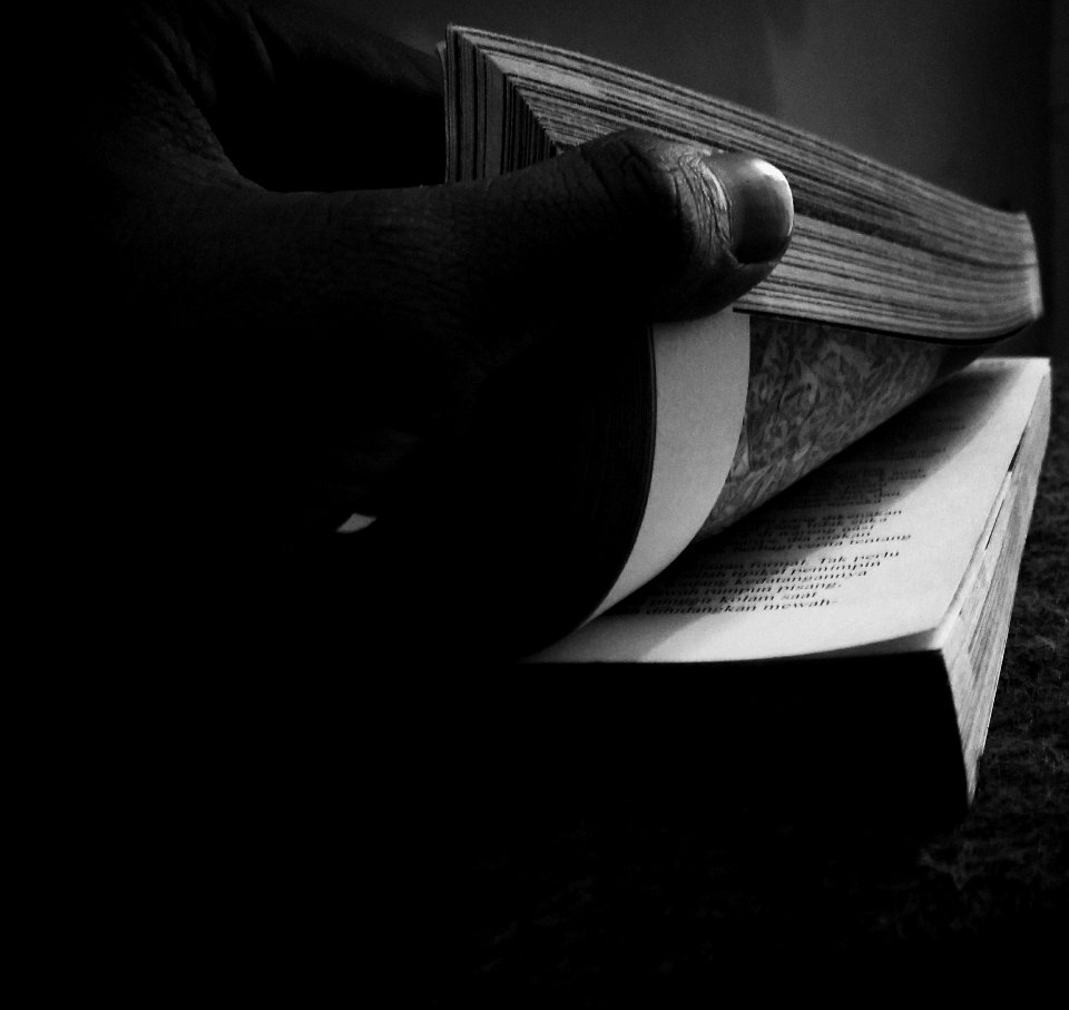 Person Holding Book