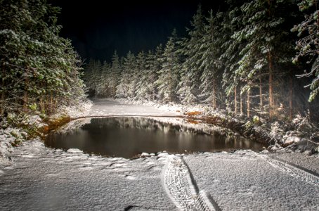 Roadway Filled By Snow Surrounded By Pine Trees Landscape Photography