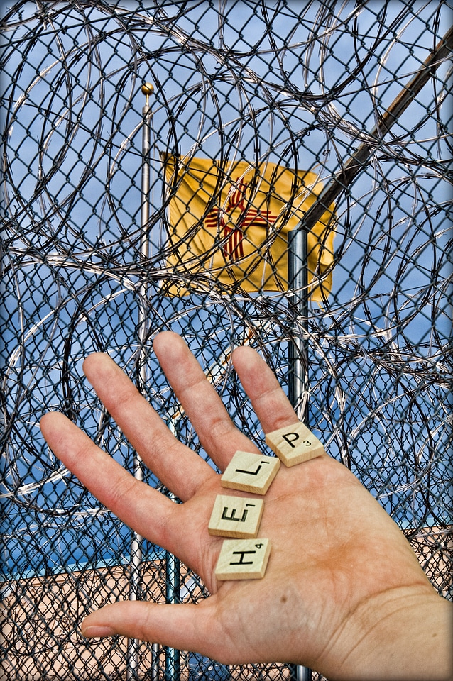 Fence wire barbed