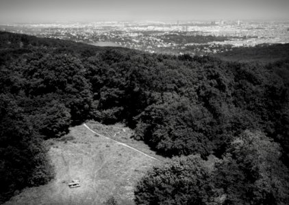 Grayscale Photo Of Mountain With Trees