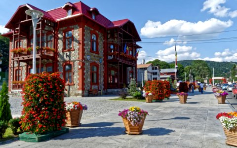 Concrete Building Surrounded With Flowers Near Roadway photo