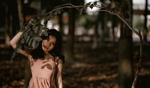 Woman Holding Green Leafed Tree photo