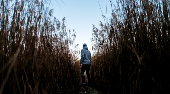 Man In The Middle Of Trees photo