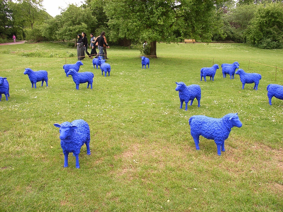 Artificial field lamb