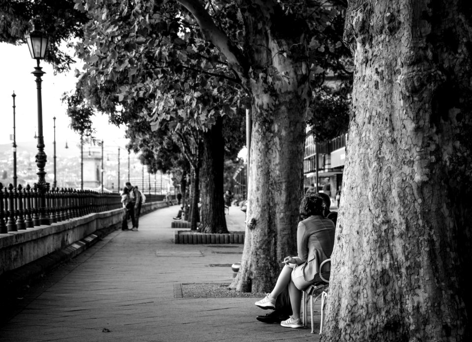 Gray Scale Photo Of Woman Sitting Down In Chair Near Trees