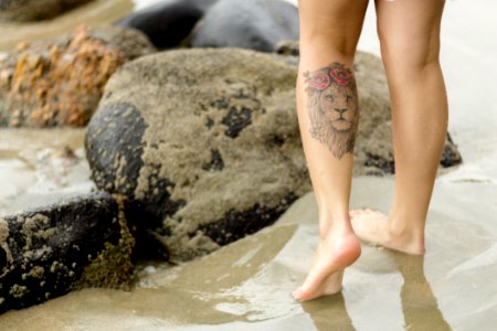 Person With Lion Tattoo