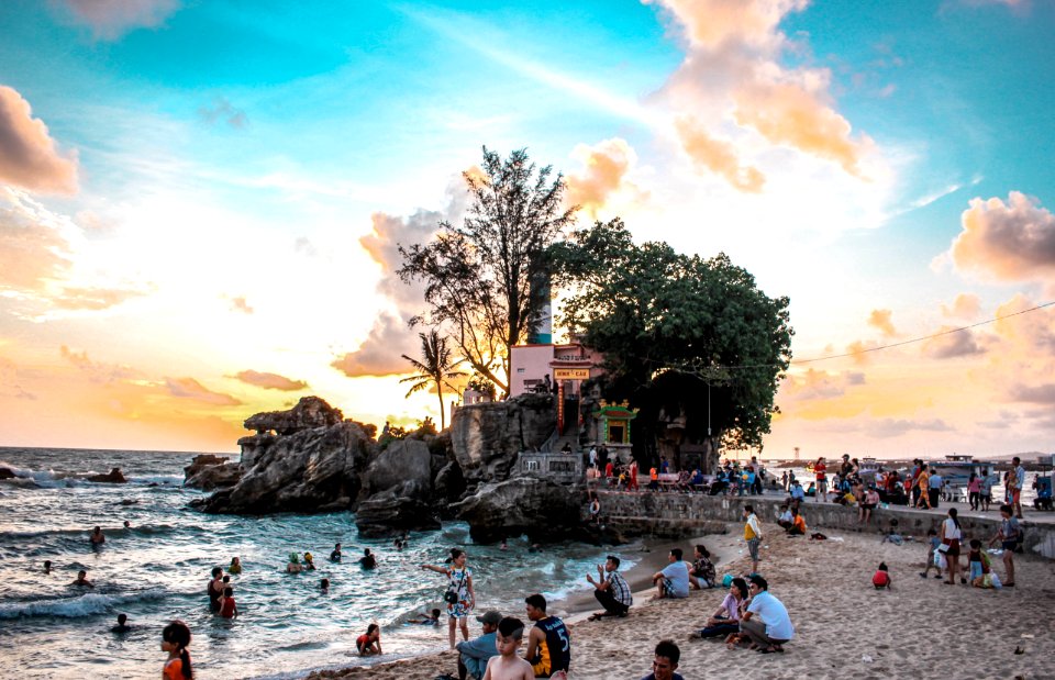 People Near Sea And Green Leaf Tree photo