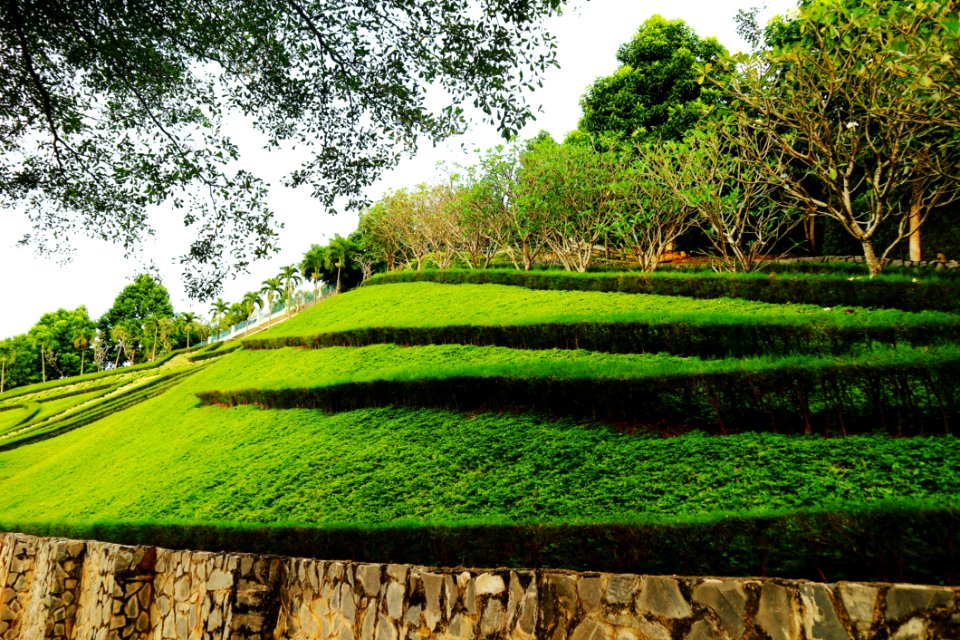 Timelapse Photo Of Layered Green Grass Field
