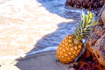 Pineapple In Seashore Leaning On Brown Rock