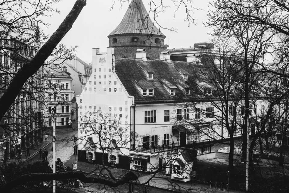Greyscale Photo Of White Painted Building Distance With Bare Trees
