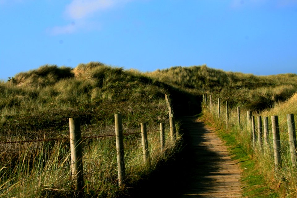 Photography Of Grass Field
