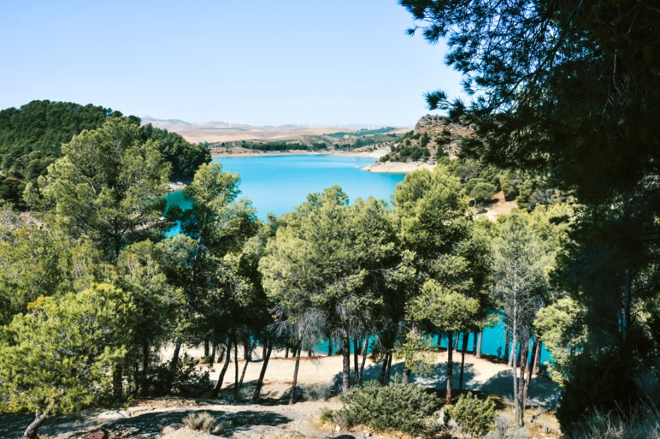 Green Trees With Blue Water Under The Blu Sky