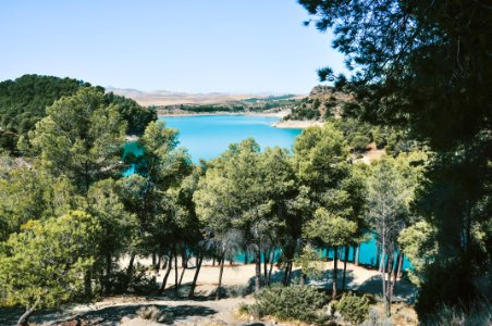 Green Trees With Blue Water Under The Blu Sky photo