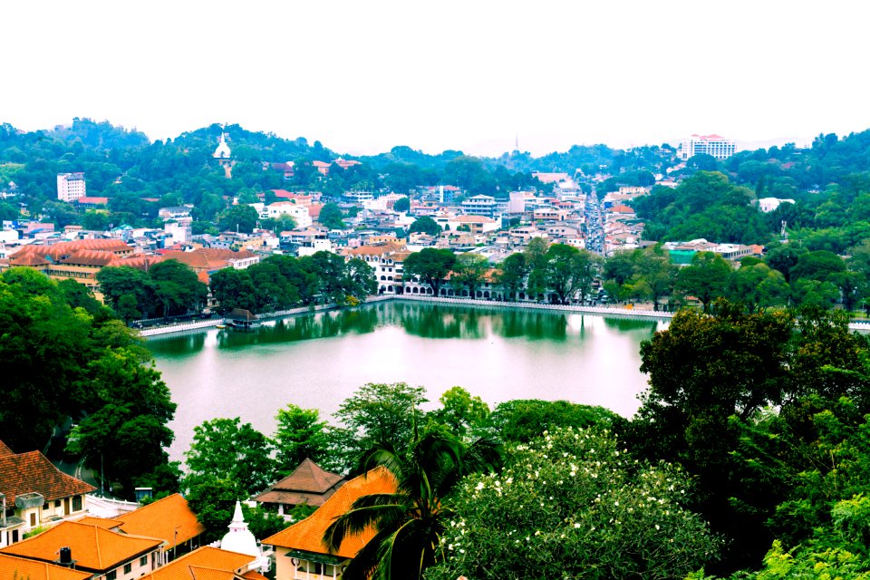 Aerial View Of The City