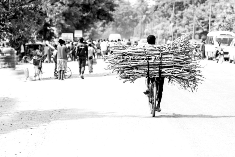 Man Carrying Firewoods