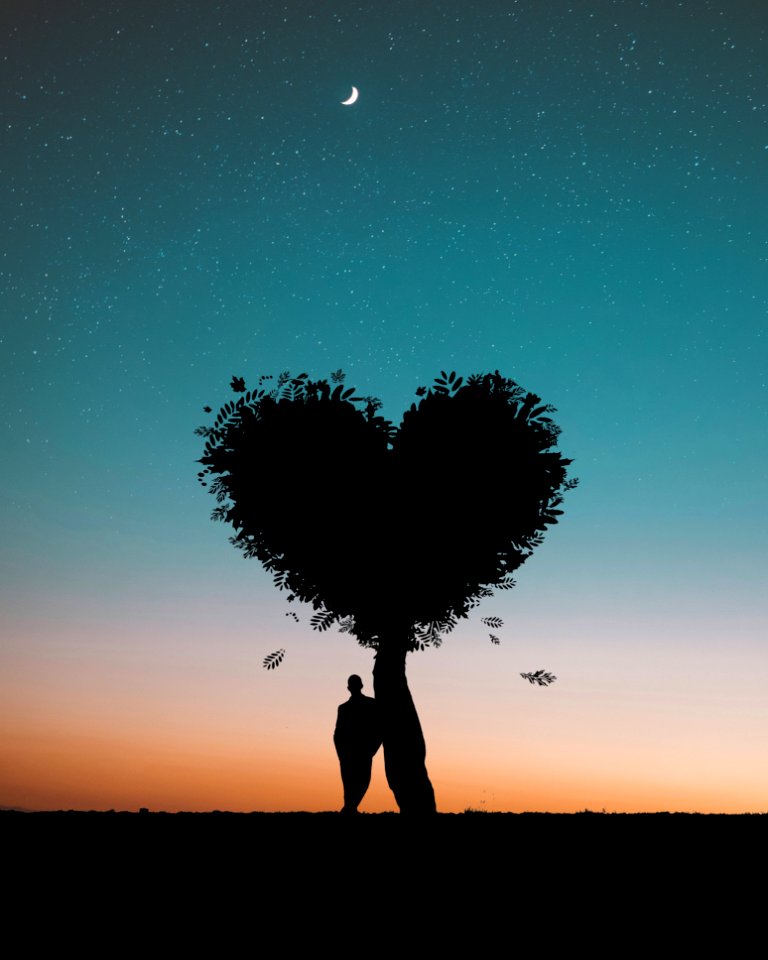Silhouette Photo Of Man Leaning On Heart Leaf Shape Tree During Dawn