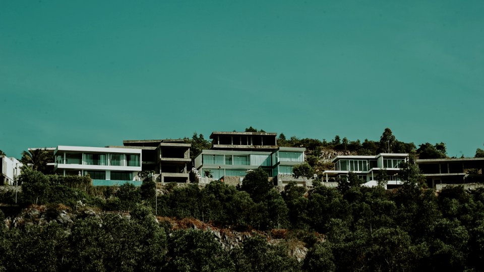 White And Gray Concrete Buildings With Green Trees Under Green Sky photo