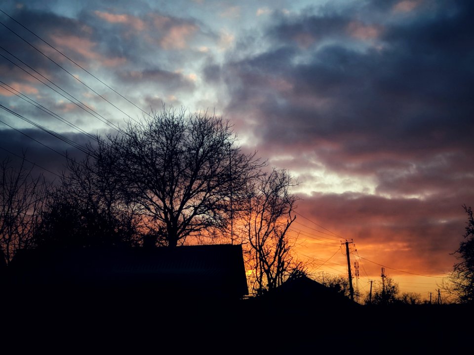 Silhouette Photo Of Bare Trees During Golden Hour