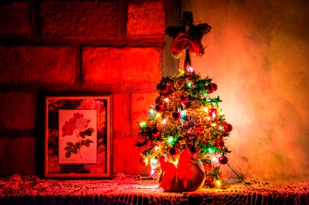 Photo Of Lighted Christmas Tree photo
