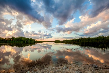 Trees Lake And Clouds During Golden Hour