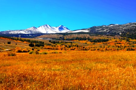 White Snow Mountain Near Grass Field