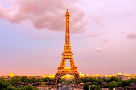 Photo Of Eiffel Tower photo
