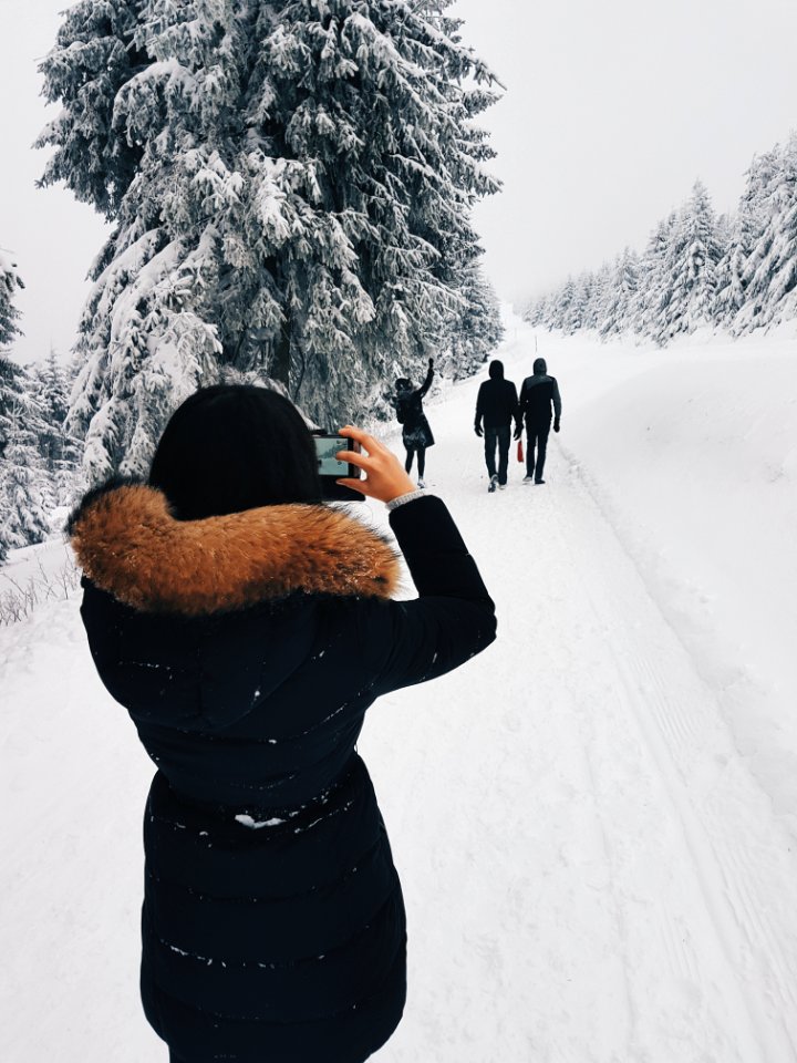 Woman In Black Coat Taking A Picture Of Three Person In Front Of Her While Walking Through Snow Field