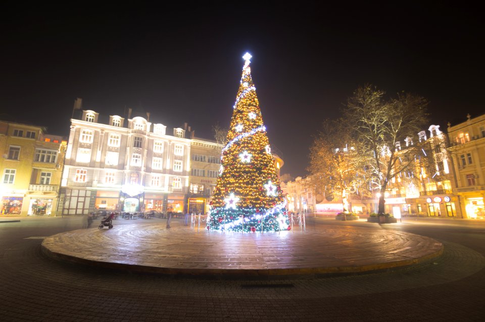 Lighted Chirstmas Tree During Night Time photo