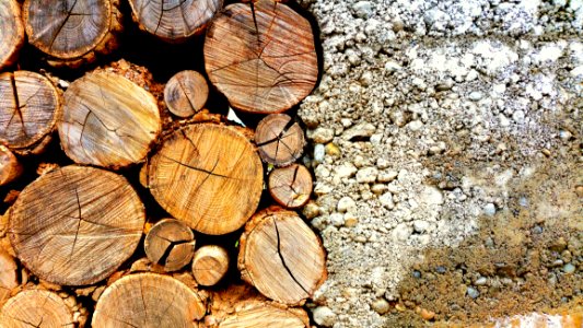 Photo Of Brown Log And White Pebbles