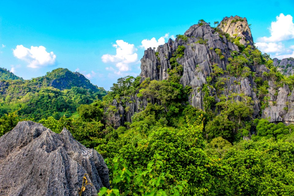 Photography Of Mountain Covered With Trees
