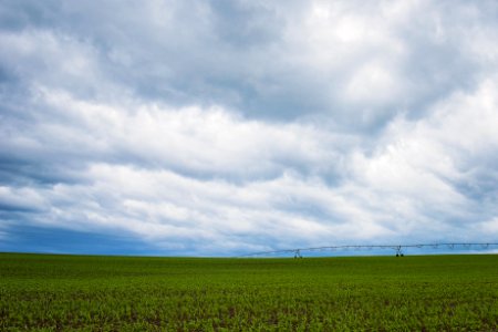 Green Grass Field Under Cumulonimbus Clouds photo