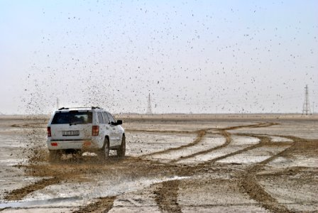 Photo Of White Suv On Muddy Plain