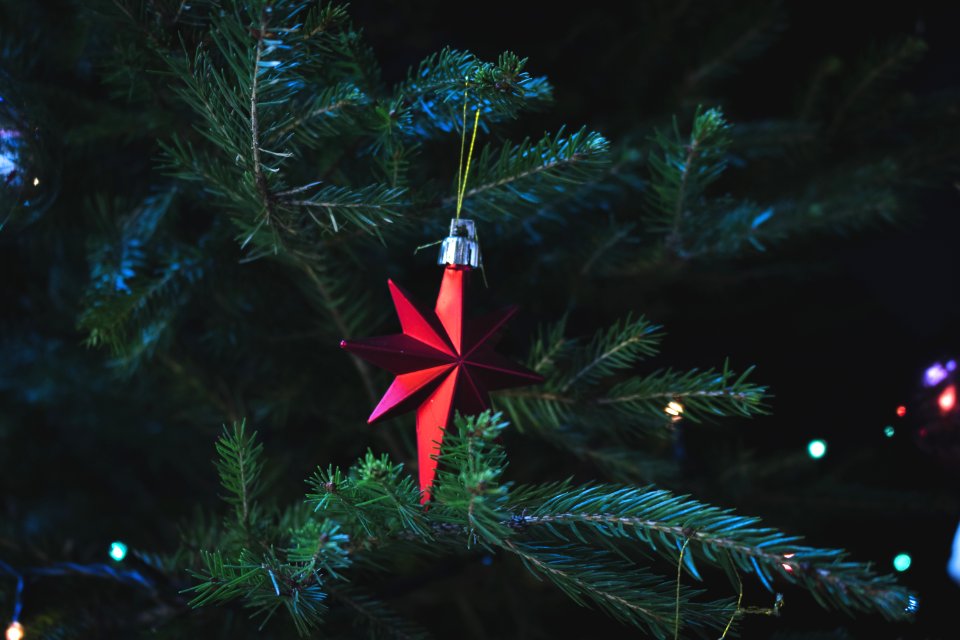 Photo Of Red Christmas Tree Decor
