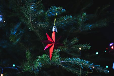 Photo Of Red Christmas Tree Decor