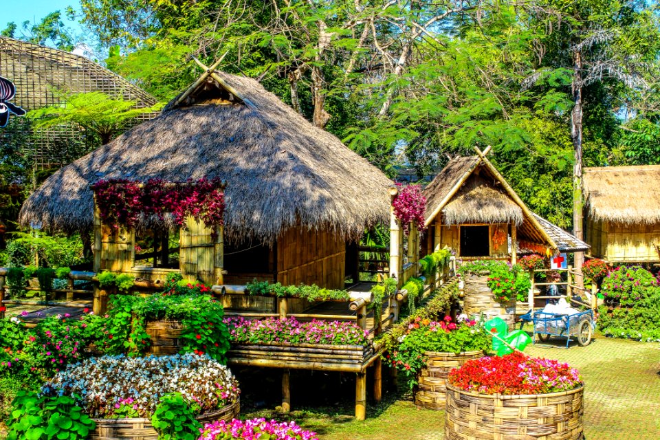 Photo Of Huts Surrounded By Flowers