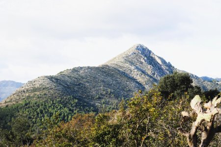 Scenic View Of The Mountain