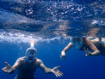 Photo Of People Snorkeling Underwater