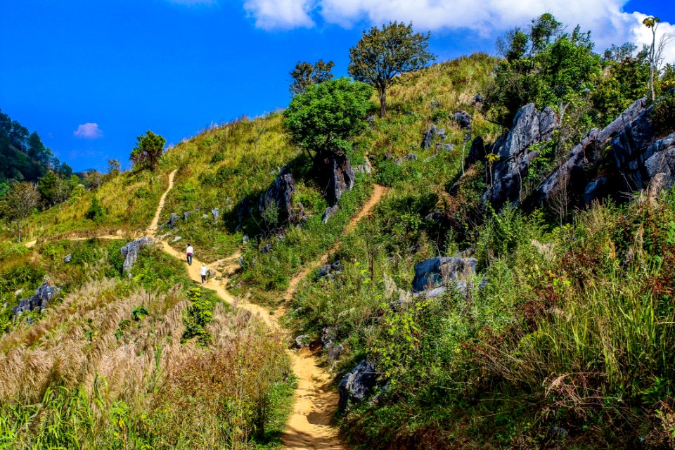 Green Grass Filled Hill Under Blue Sky