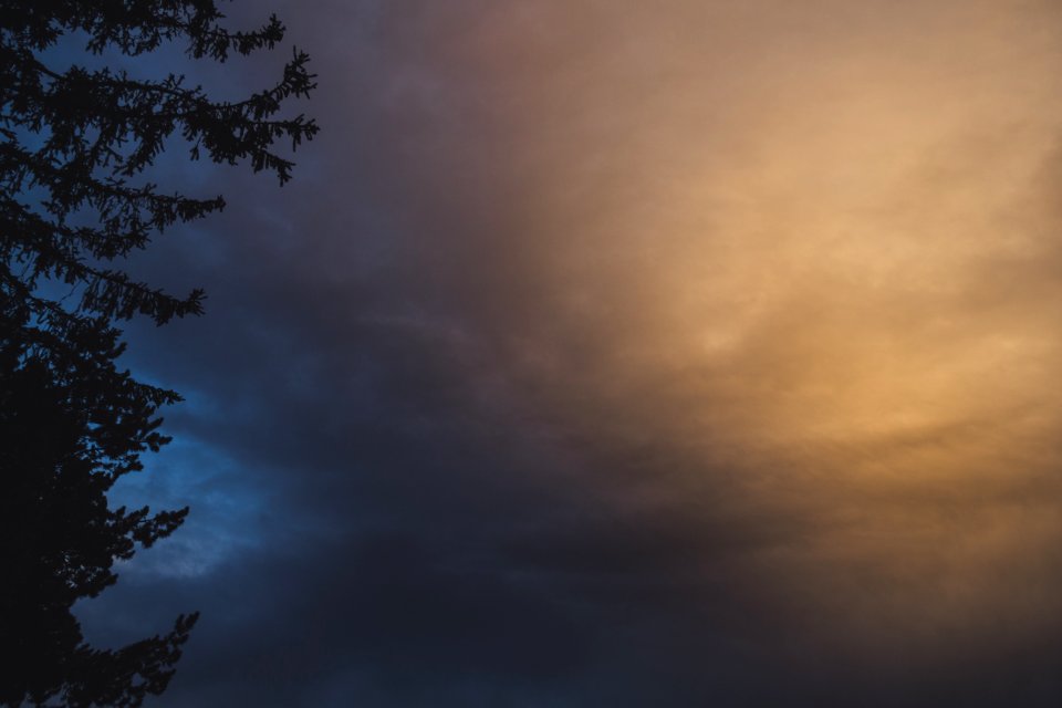 Silhouette Of A Tree With Cloudy Sky Background