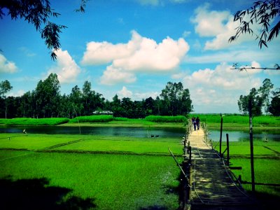 Scenic View Of The Farm